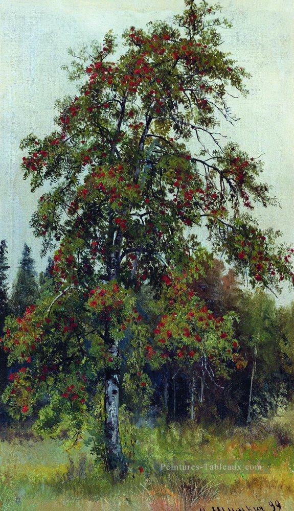 rowan 1892 paysage classique Ivan Ivanovitch Peintures à l'huile